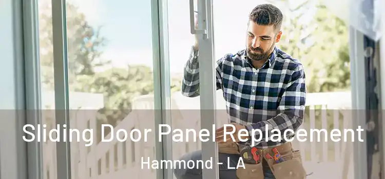  Sliding Door Panel Replacement Hammond - LA