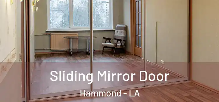  Sliding Mirror Door Hammond - LA