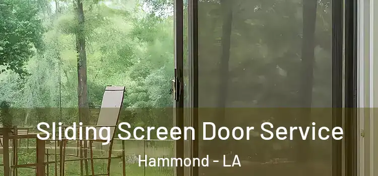  Sliding Screen Door Service Hammond - LA
