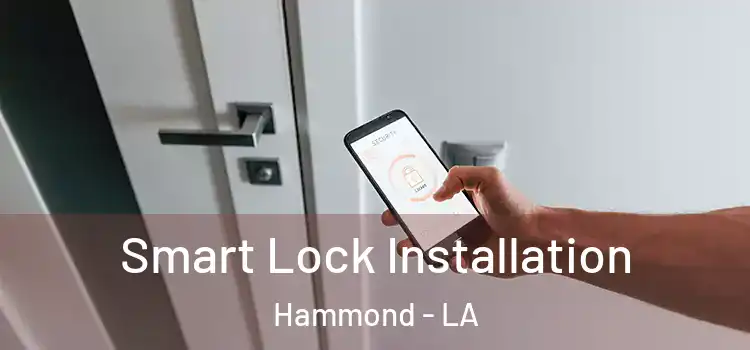 Smart Lock Installation Hammond - LA
