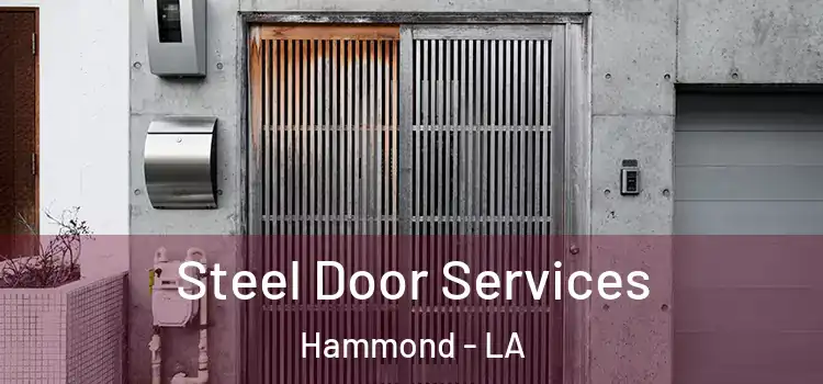  Steel Door Services Hammond - LA